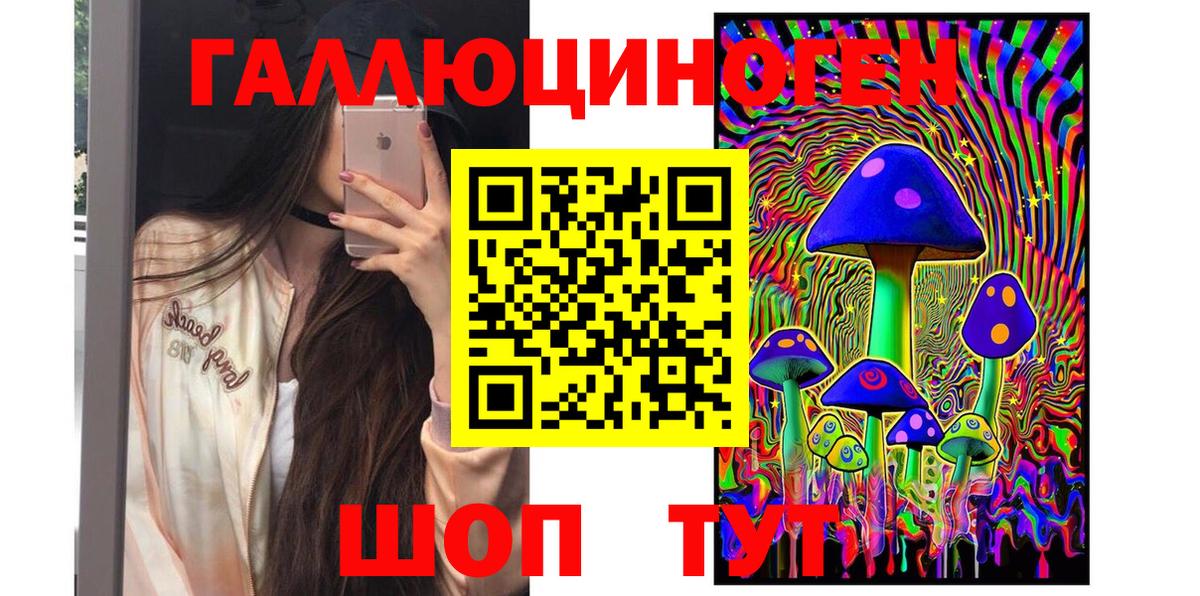 Псилоцибиновые грибы Psilocybe Киселёвск